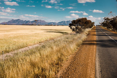 Image of bluff knoll- the highest peak of the stirling range in western australia.