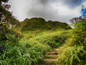 Scenic view of field and mountains against sky