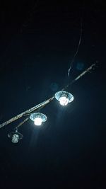 Low angle view of illuminated light bulbs in water at night