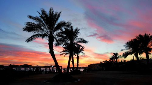 Silhouette palm trees at beach against sky during sunset