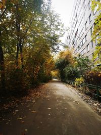 Road amidst trees and buildings during autumn