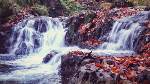 Scenic view of waterfall