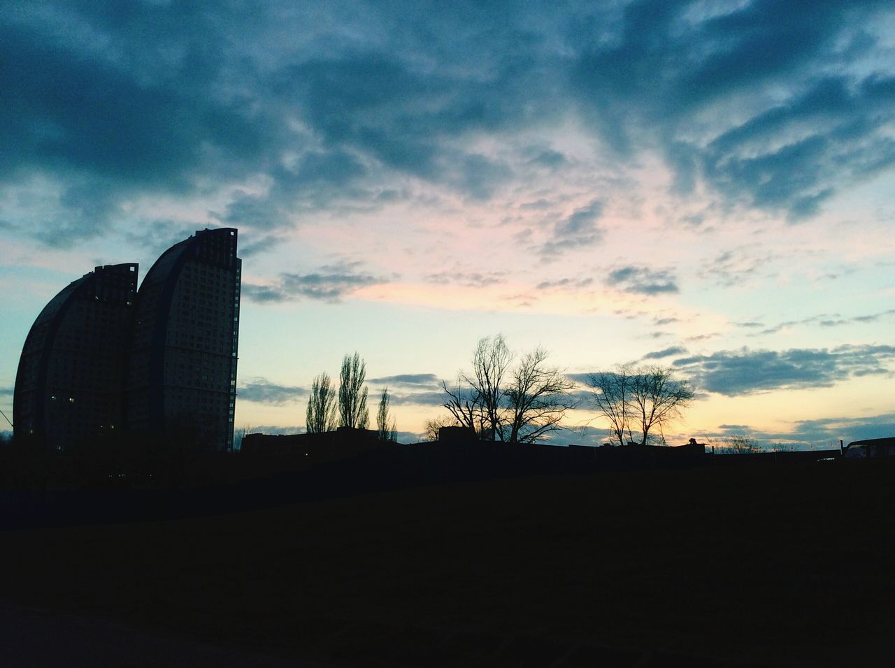 SILHOUETTE OF TREES AT SUNSET