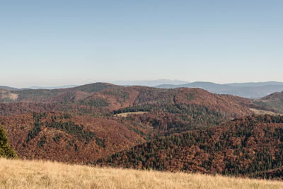 Scenic view of landscape against clear sky