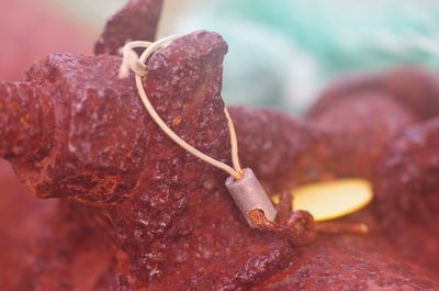 Macro shot of red chili peppers on rusty metal