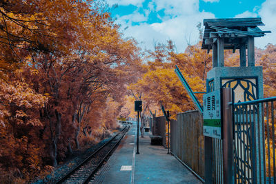 Street amidst trees against sky during autumn