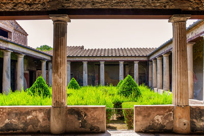 Plants by old building against sky