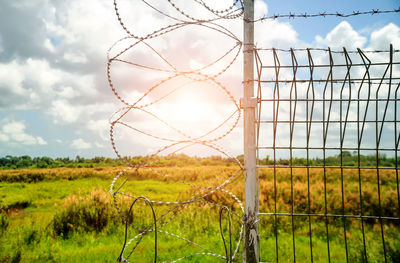 Barbed wire barrier in restricted area, barbed wire against sky with sun, barbed bottom view.