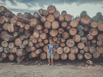 Stack of logs in forest