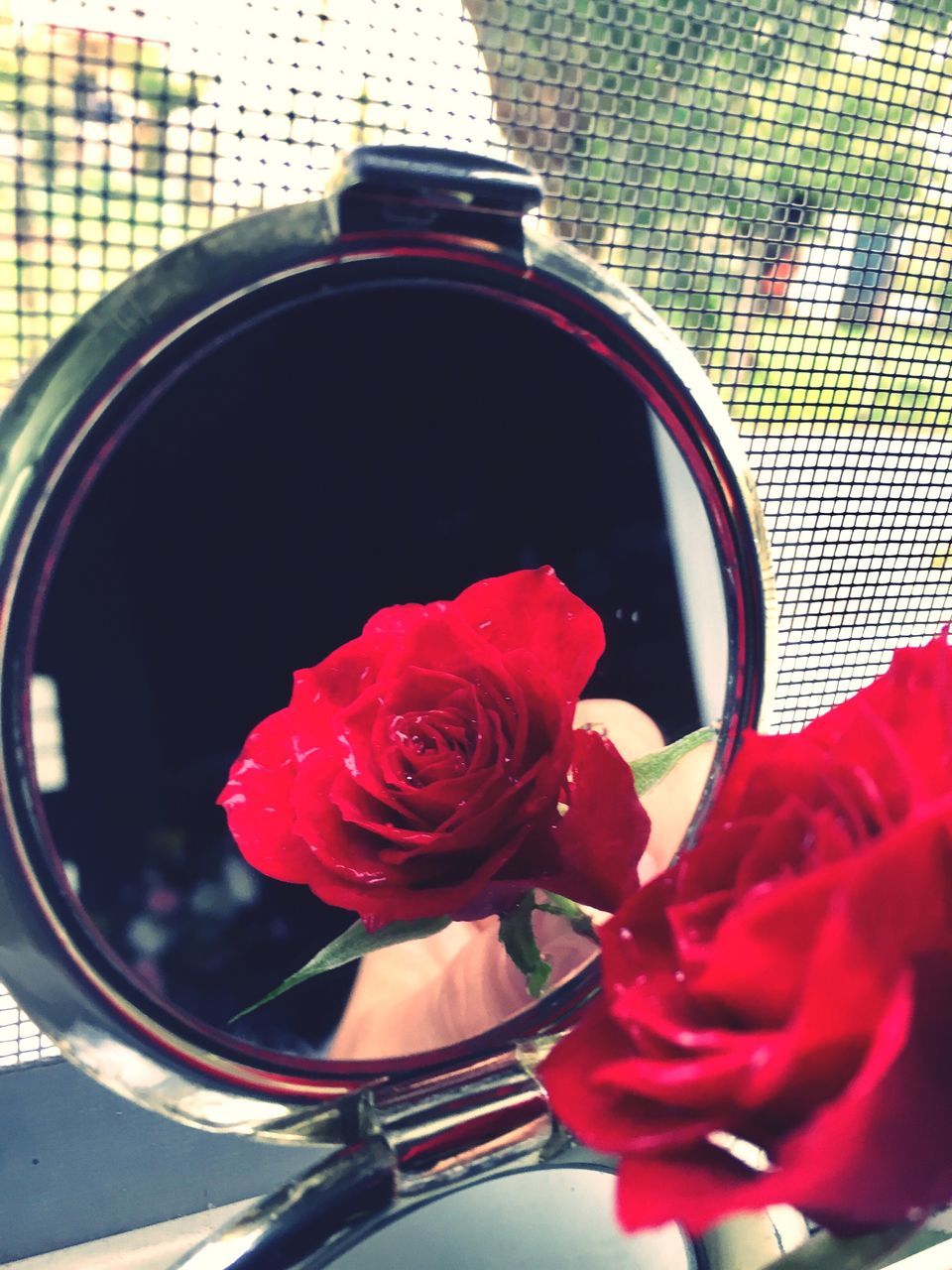 CLOSE-UP OF RED AND FLOWER