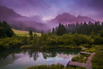 Amazing summer sunrise in the natural reserve of zelenci, slovenia