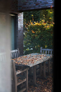 Fallen autumn leaves on wooden table seen through door