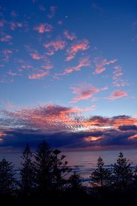 Scenic view of silhouette trees against sky at sunset