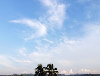 High section of palm trees against cloudy sky