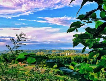 Scenic view of landscape against sky