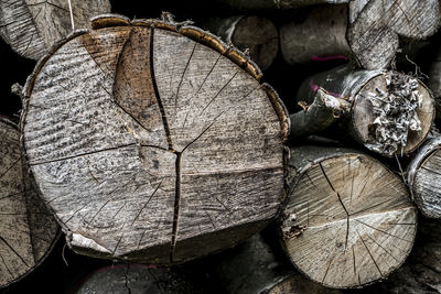 Close-up of logs in forest