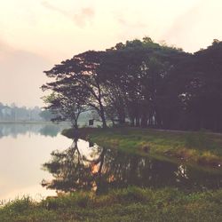 Trees by lake against sky during sunset