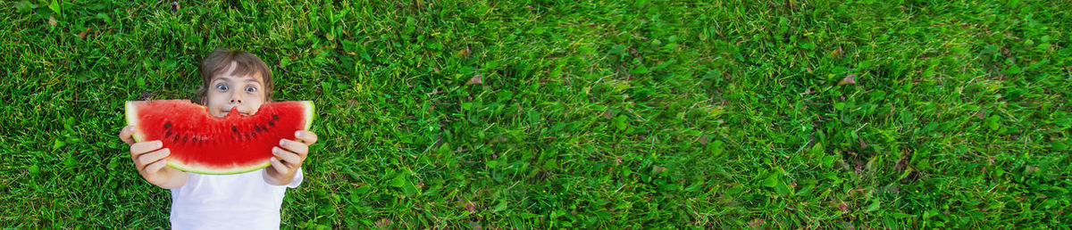 Close-up of bird on grassy field