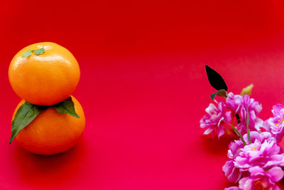 Close-up of orange flower against red background