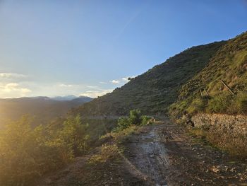 environment