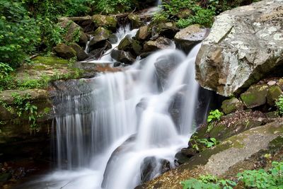 Scenic view of waterfall in forest