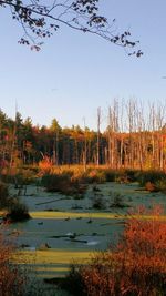 Scenic view of calm lake against clear sky