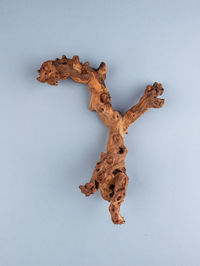 wood