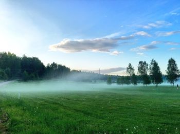 Scenic view of grassy field against sky