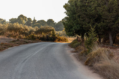 Road amidst trees against sky