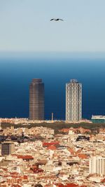 Birds flying over sea and buildings in city