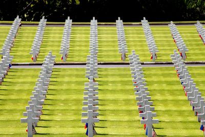 High angle view of white crosses at saint-laurent-sur-mer american cemetery