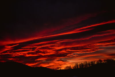 Scenic view of silhouette trees against sky at night