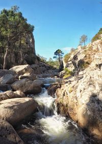 Scenic view of waterfall in forest against clear sky