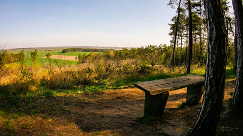 Scenic view of field against clear sky