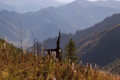 Solitude of the mountains