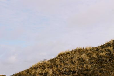 Low angle view of grassy field against sky