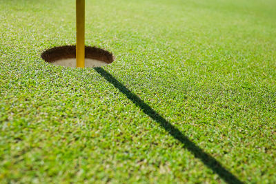 High angle view of golf ball on field