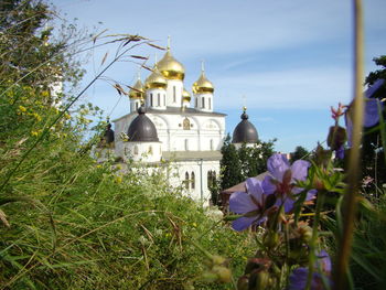 View of flowering plants by building against sky