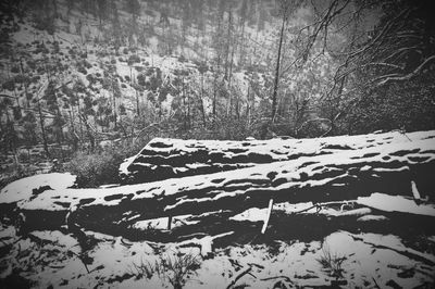 Snow covered landscape