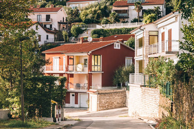 Trees and houses in town