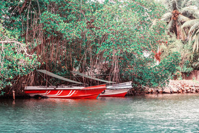 Boat moored in river against trees