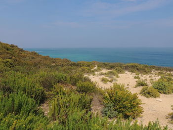 Scenic view of sea against sky