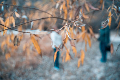 Blurred motion of woman and trees during autumn