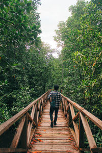 Rear view of person walking on footbridge