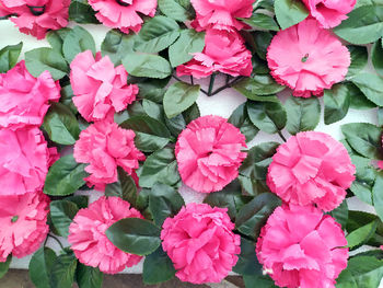 Full frame shot of pink flowering plants