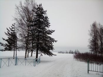 Trees on snow covered field against sky