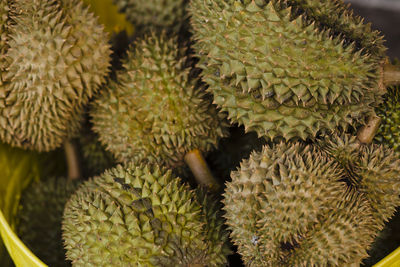 Durian fruits
