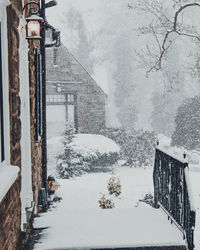 Snow covered houses by trees during winter