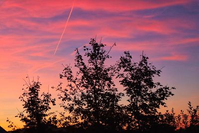 Low angle view of silhouette tree against sky during sunset