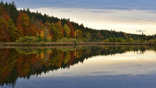 Scenic view of lake by trees against sky